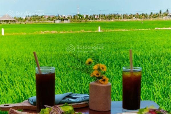 Siêu phẩm view lúa mặt tiền đường 13m5 ngay casamia calm