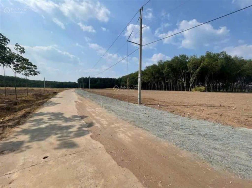 Bán đất minh lập, chơn thành, bình phước chính chủ