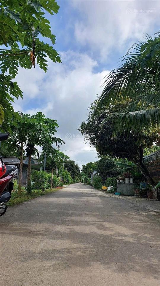 Bán đất trừ văn thố bàu bàng dân đông kín giá cần bán về quê ạ