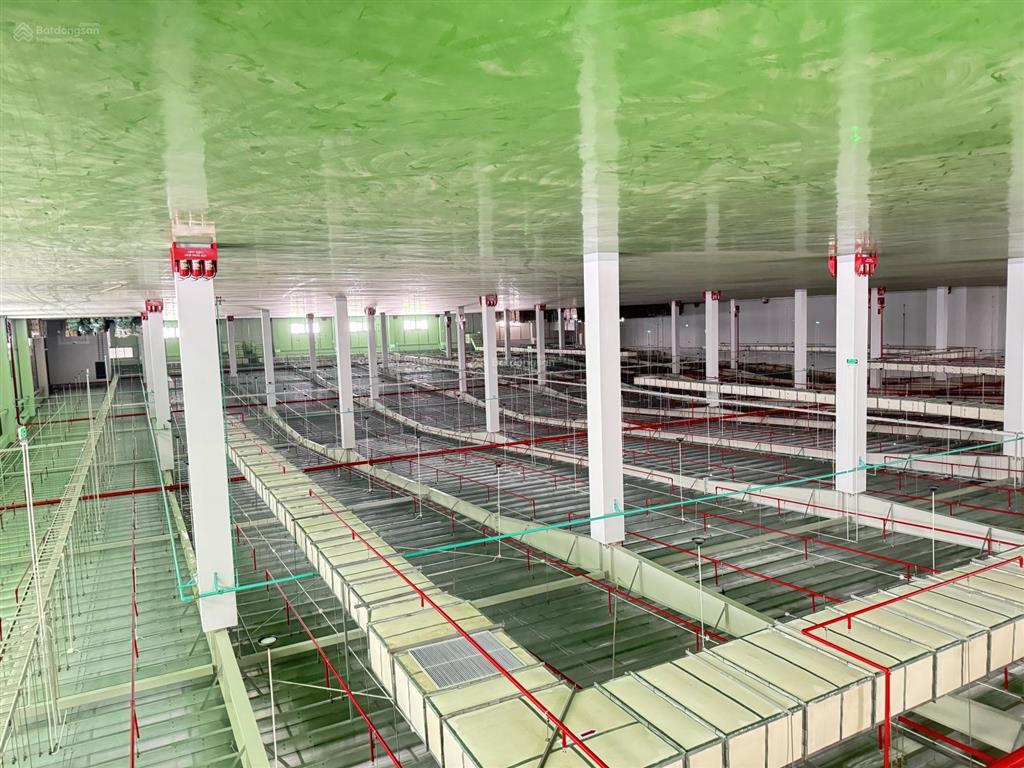 Cho thuê kho xưởng pccc tự động tại kcn thạch thất  quốc oai, dt 3000m