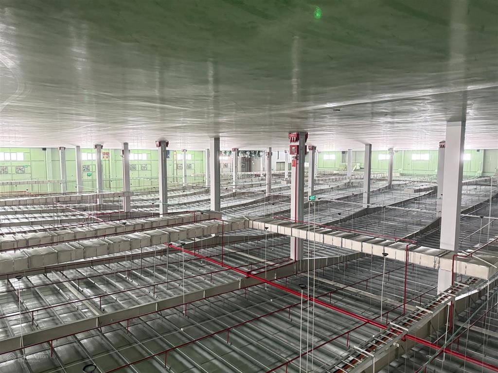 Cho thuê kho xưởng pccc tự động tại kcn thạch thất  quốc oai, dt 3000m