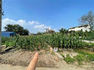 79m2 tại thôn 1 tân xã sát vách trường đại học fpt giá tốt  0962 783 ***