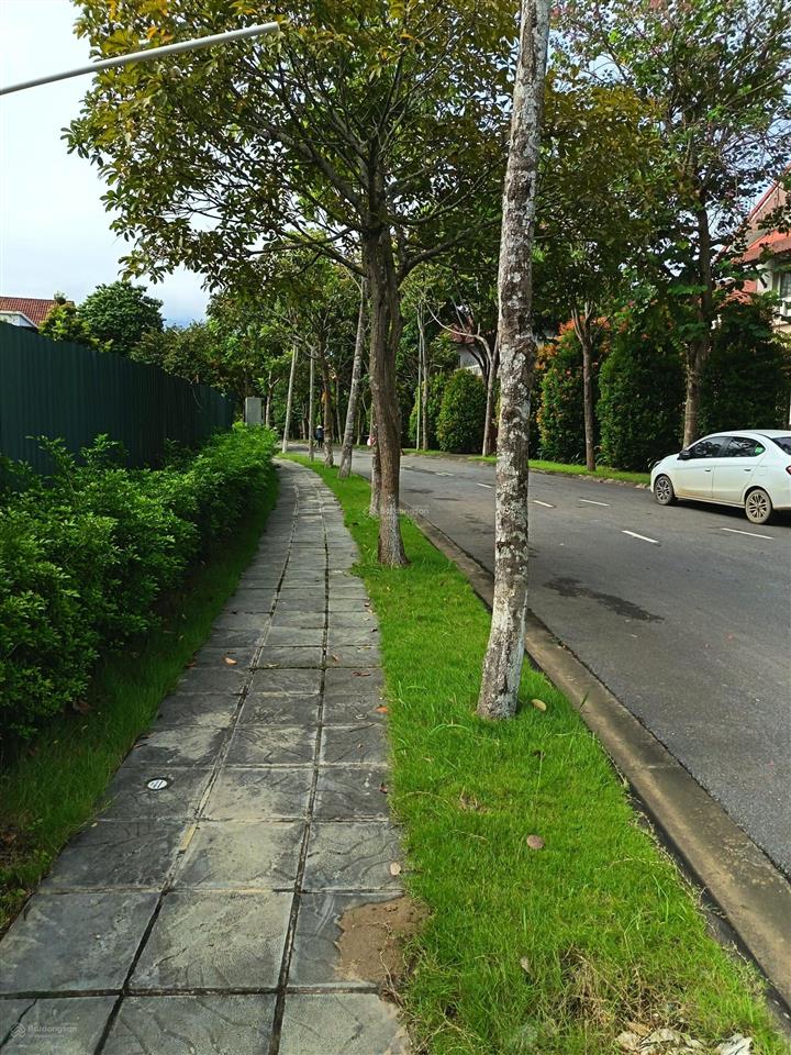 Bán căn bt đơn lập 656m2 khu a khu đô thị xanh villas. giá chỉ 65tr/m2 rẻ nhất khu  0962 783 ***
