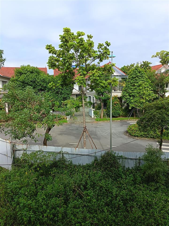 Bán căn bt đơn lập 656m2 khu a khu đô thị xanh villas. giá chỉ 65tr/m2 rẻ nhất khu  0962 783 ***