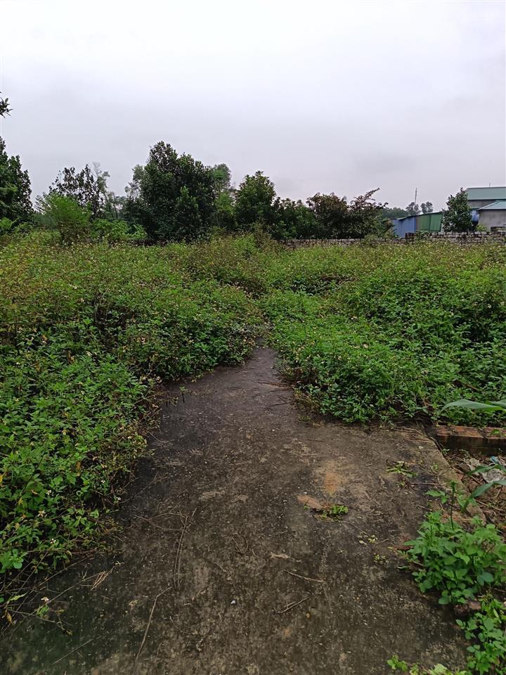 Hàng hiếm chỉ còn 1 lô giá 1,9 tỷ, 60m2 tại khu công nghệ cao hòa lạc.  0962 783 ***