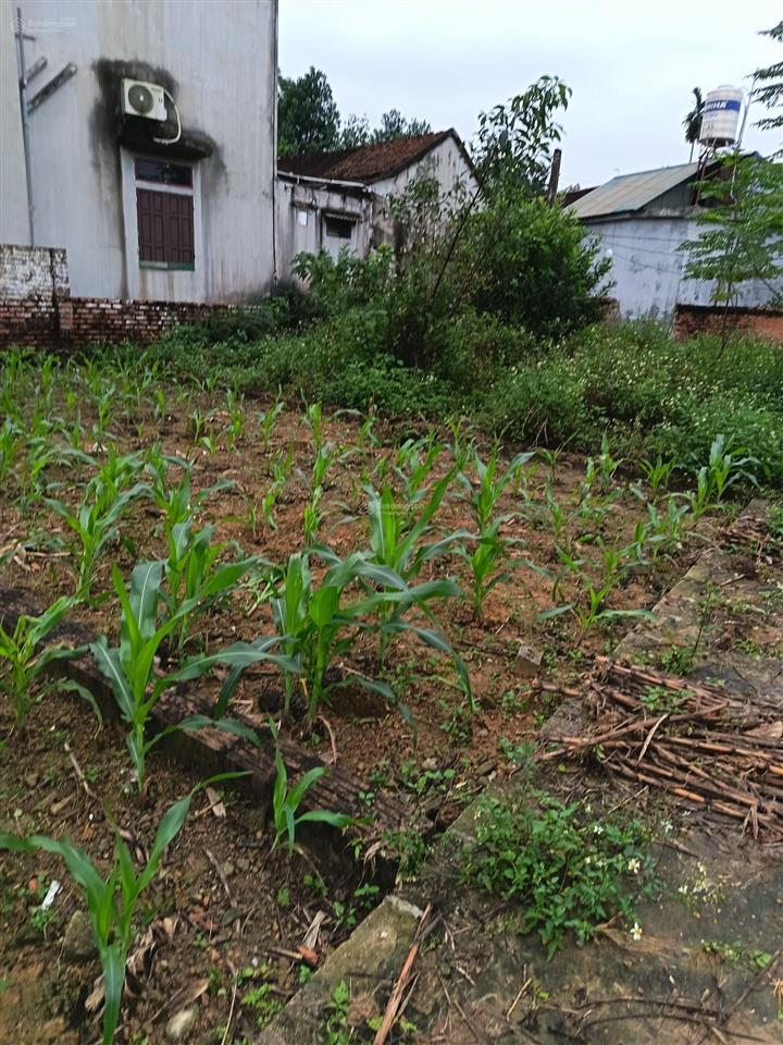 Hàng hiếm chỉ còn 1 lô giá 1,9 tỷ, 60m2 tại khu công nghệ cao hòa lạc.  0962 783 ***