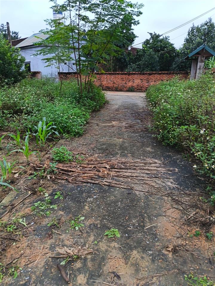 Hàng hiếm chỉ còn 1 lô giá 1,9 tỷ, 60m2 tại khu công nghệ cao hòa lạc.  0962 783 ***