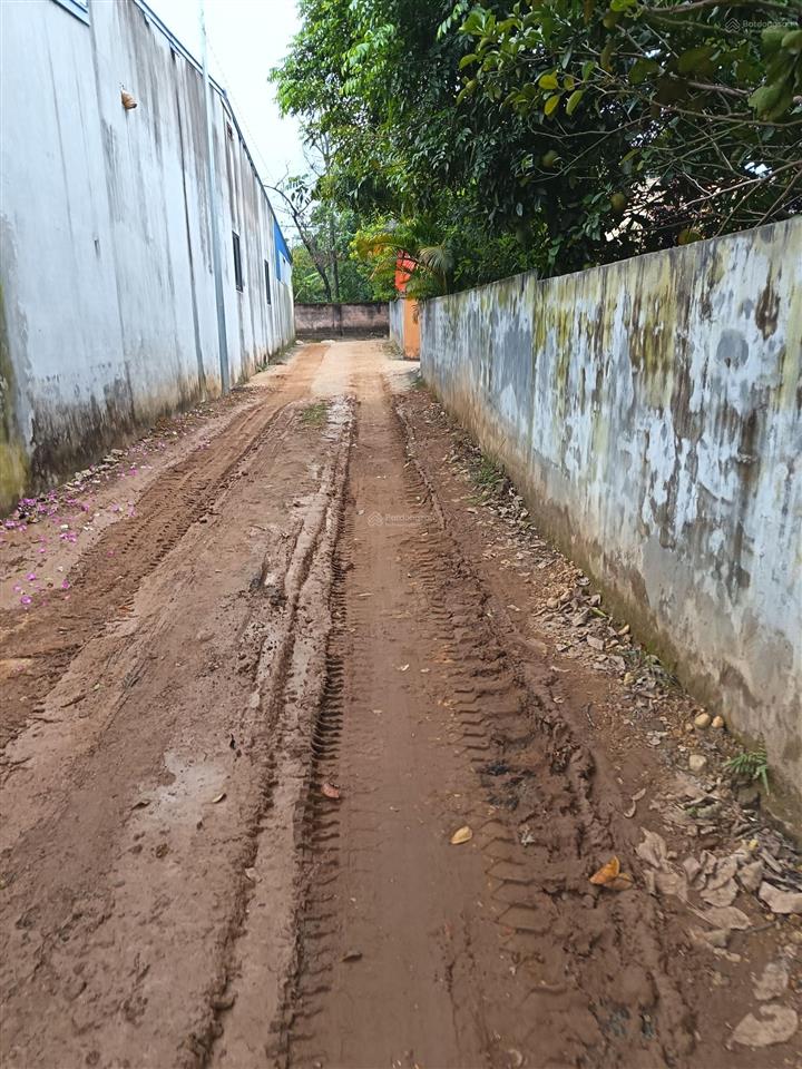 Chỉ từ 1,7 tỷ sở hữu ngay lô đất ở đô thị trung tâm tx sơn tây. sổ hồng trao tay  0962 783 ***