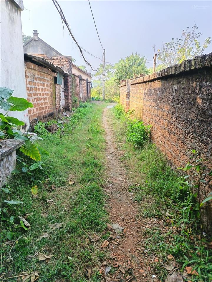 117m2 full thổ cư tại phú kim, thạch thất. vị trí trung tâm giá chỉ 1,9 tỷ.  0962 783 ***
