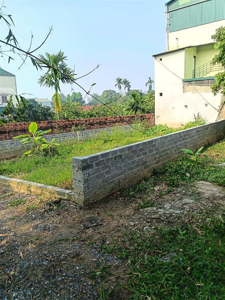 117m2 full thổ cư tại phú kim, thạch thất. vị trí trung tâm giá chỉ 1,9 tỷ.  0962 783 ***