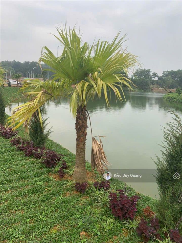 60m2 view suối tại sơn đông , sơn tây, sát sân golf đồng mô giá chỉ 1,8 tỷ  0962 783 ***