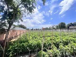 Bán 2000m2 đất trung tâm khu bàn cờ xã liên hiệp, dt 20x100m có 400m2 thổ cư, giá 9.5 tỷ