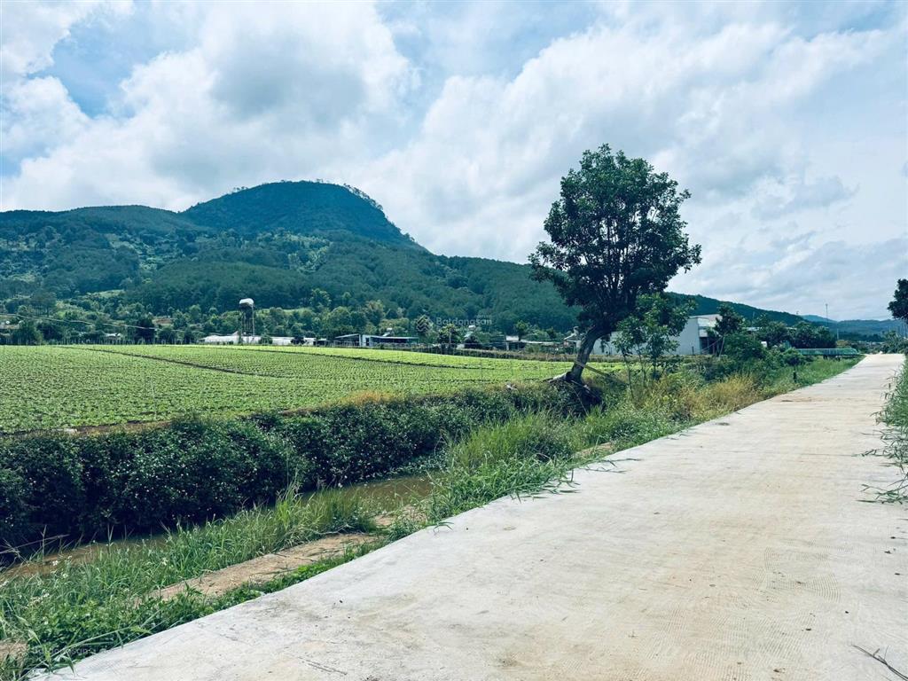 Đất nghỉ dưỡng xã hiệp an ven đà lạt view trực diện núi voi ngoại ô đà lạt chỉ 2.4 tỷ.