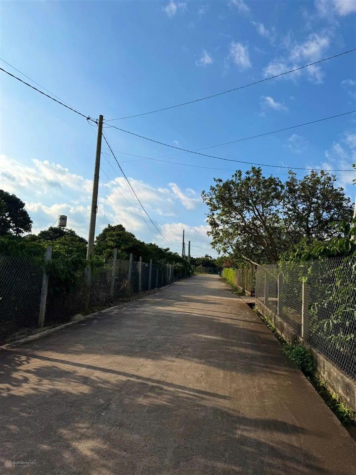 Bán đất khu bàn cờ trung tâm ngay sân bay liên khương, dt 10x23.6 cn 227m2 giá cực hấp dẫn