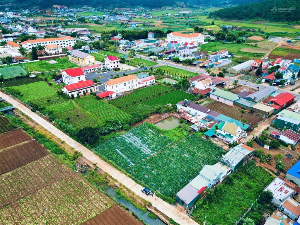 Đất nghỉ dưỡng xã hiệp an ven đà lạt, view trực diện núi voi ngoại ô đà lạt, chỉ 2.4 tỷ