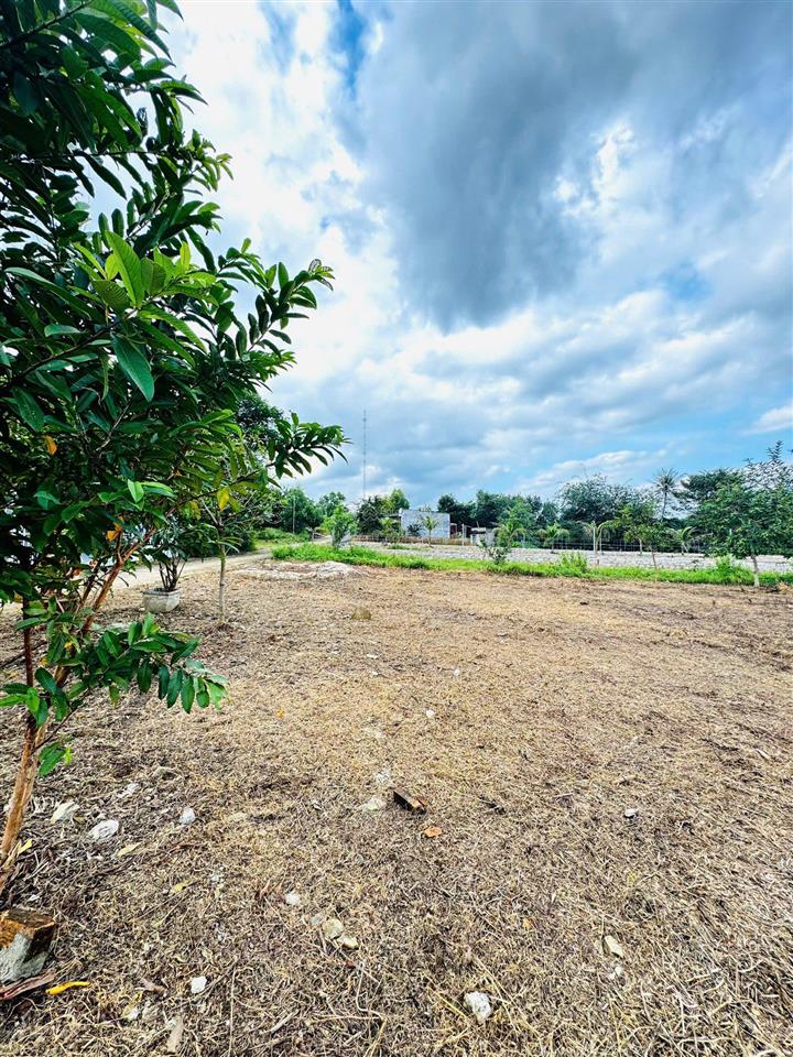 Chính chủ bán lô đất diên lâm, diên khánh, khánh hòa giá chỉ 550 triệu