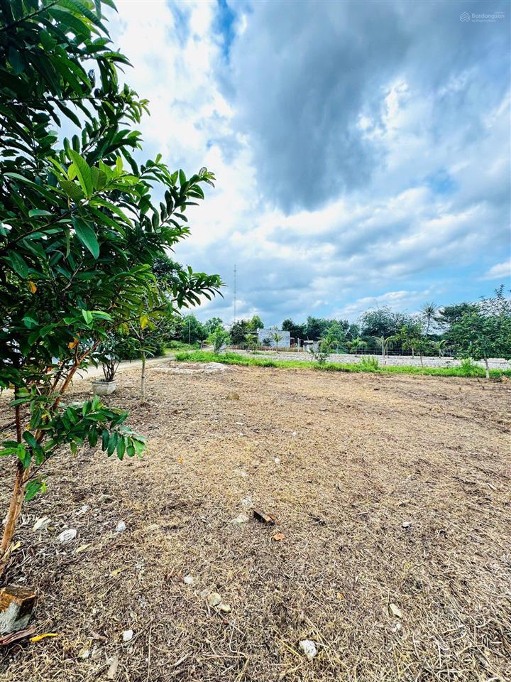 Chính chủ bán lô đất diên lâm, diên khánh, khánh hòa giá chỉ 550 triệu