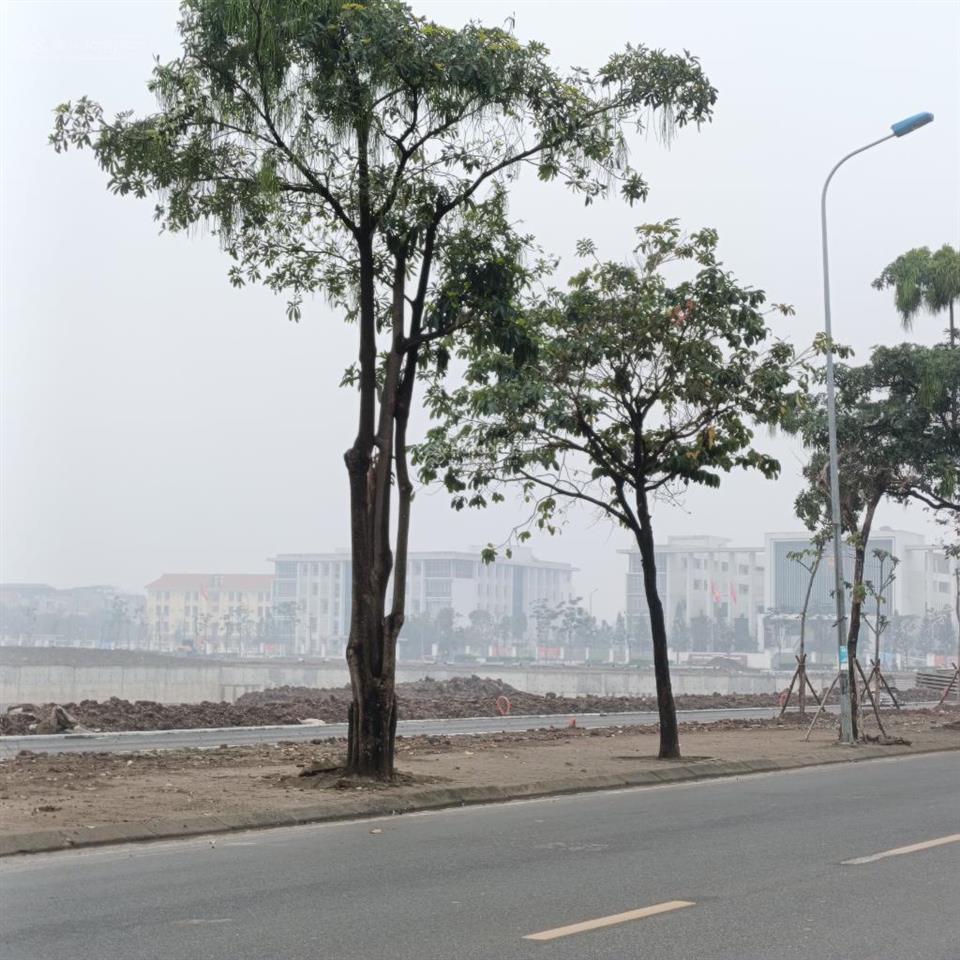 Đất 31ha trâu quỳ, lô góc, vỉa hè ô tô tránh các phía,thoáng sáng,mặt tiền khủng, làm gì cũng tuyệt