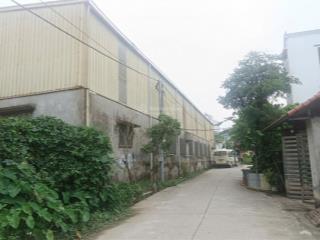 Đất lương tài,văn lâm,hưng yên 1461m2,mặt tiền rộng,ô tô tải tránh thông,sổ hoa hậu,kinh doanh đỉnh