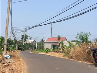 Đất mặt tiền đường nhựa có thổ cư sẵn 300m giá 2.5tr/m2 ở trảng bom gần khu cn cách biên hoà 20km