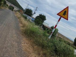 Vị trí mặt đường nhựa dân sinh cao tốc, mặt tiền kênh nước quanh năm. giá 250tr/sào. tổng 2,5 sào