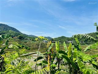 Bán lô đất 890m2 view ruộng bậc thang tuyệt đẹp tại hợp phong, cao phong, hòa bình
