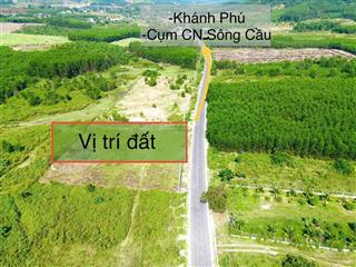 Bán đất mặt tiền đường nhựa hl62 700m2, nở hậu, vị trí vàng đầu tư chỉ hơn 1 tỷ