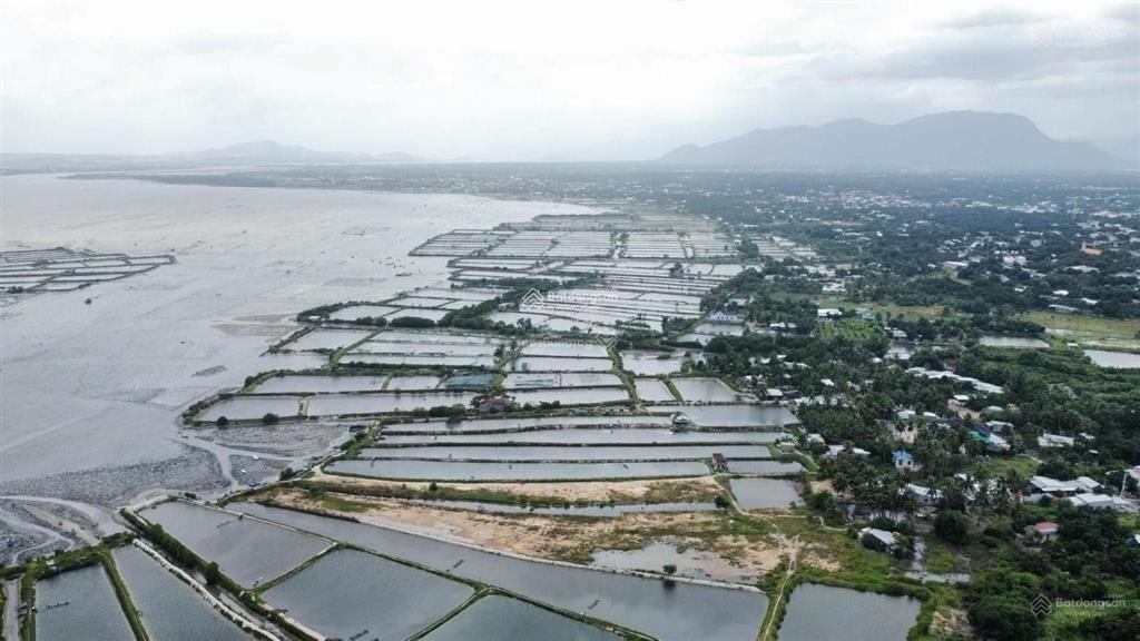 Bán đất tđc cam hải đông cam lâm, lô góc ngay cạnh đầm thủy triều, gần sân bay, full thổ, 10 tỷ tl