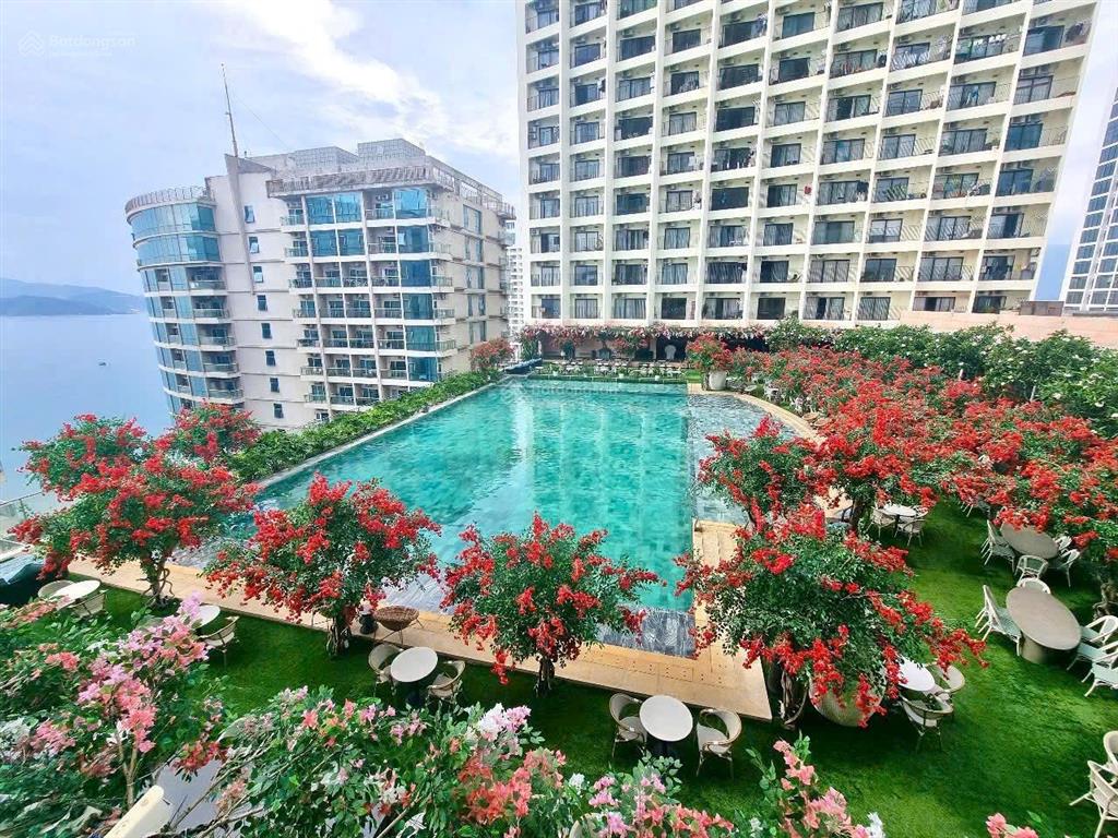 Căn hộ gold coast toà nam view hồ bơi và view xéo biển cần bán