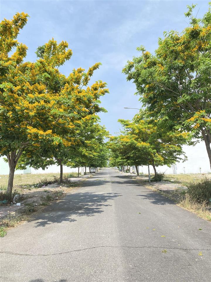 Cần bán vài lô đất đẹp, giá chỉ từ 1tỷ750 tại kđt mới nam sông cái.  0939 107 ***