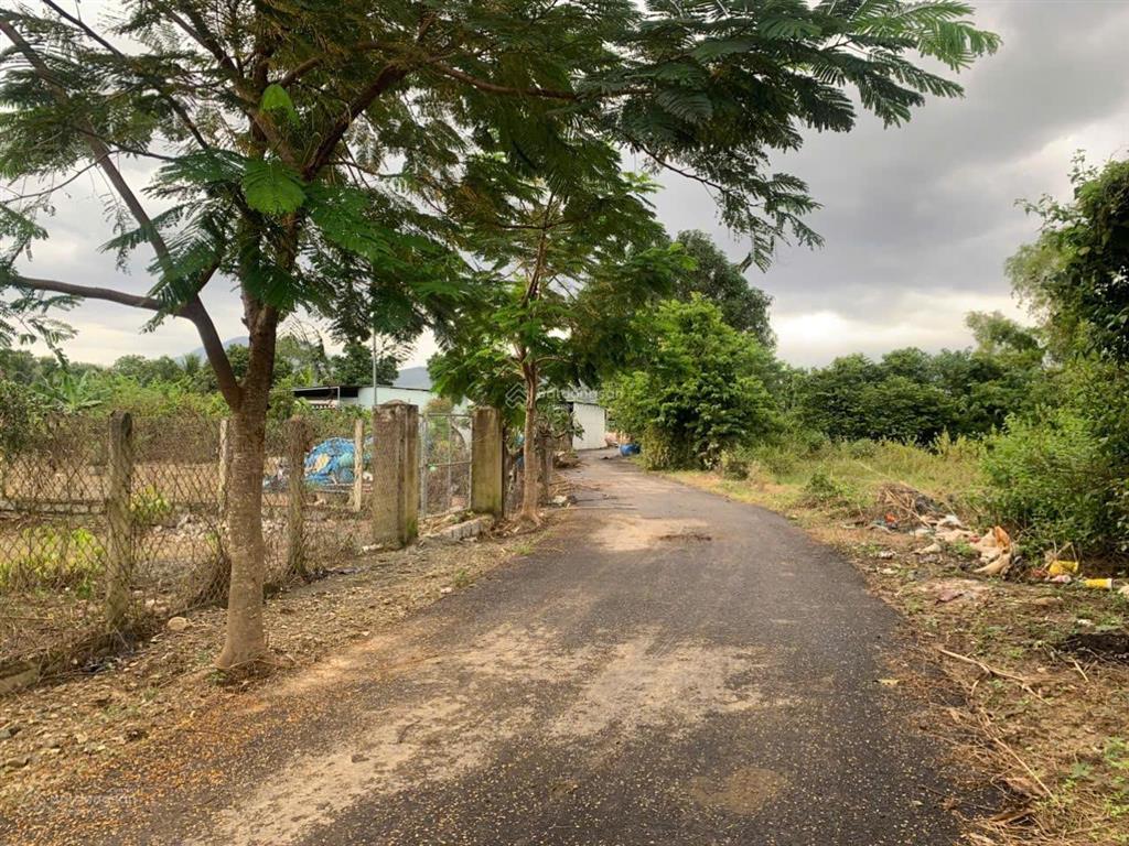 Bán đất đường bầu xanh phước tuy 1 ,diên phước dt 1575m2 giá 5t/m2