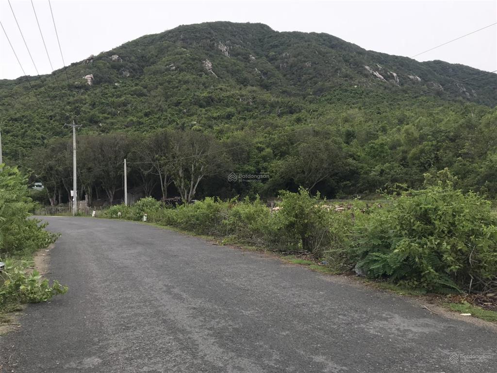 Bán đất 2479m2(odt)tại đường 652d, ninh phước, ninh hòa, khánh hòa