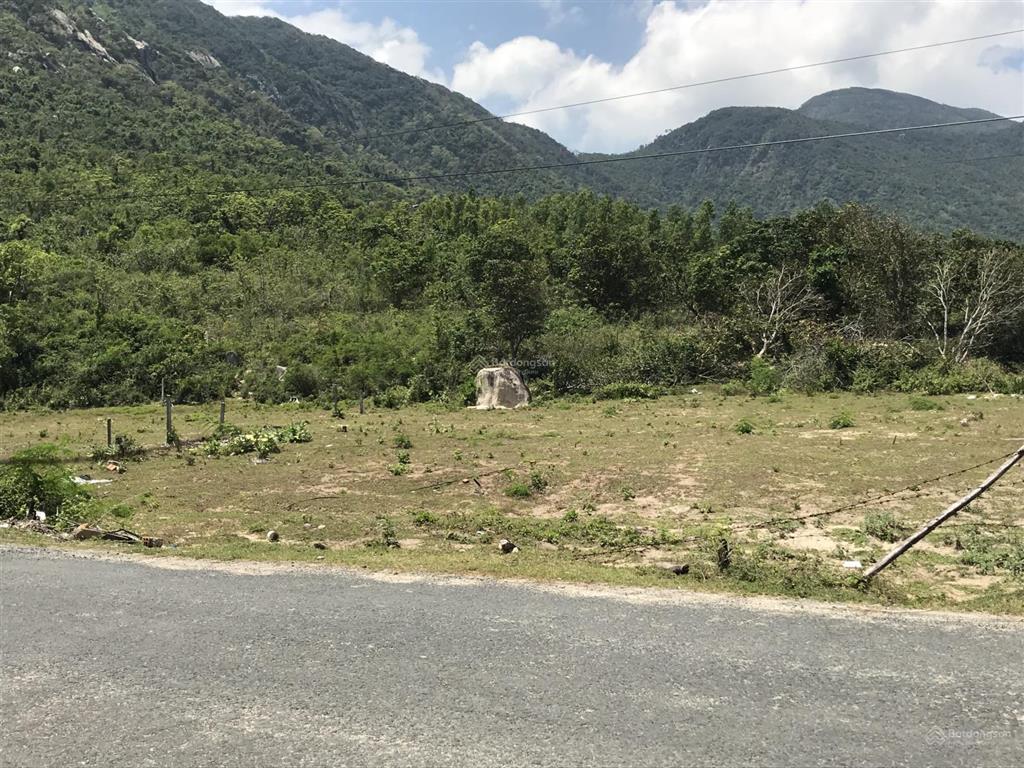 Bán đất 2479m2(odt)tại đường 652d, ninh phước, ninh hòa, khánh hòa