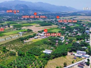 Cam tân  cam lâm giá rẻ chỉ 600tr/ lô