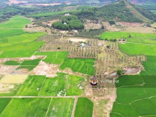 Bán trang trại f0 ở đường tl 5, ninh hiệp, ninh hòa, khánh hòa, giá ưu đãi chỉ 11,99 tỷ (4 ha)