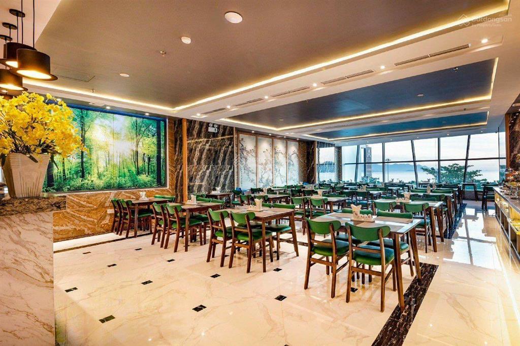 Hàng hiếm khách sạn trần phú 212m2 view trực diện biển 20 tầng giá 207 tỷ