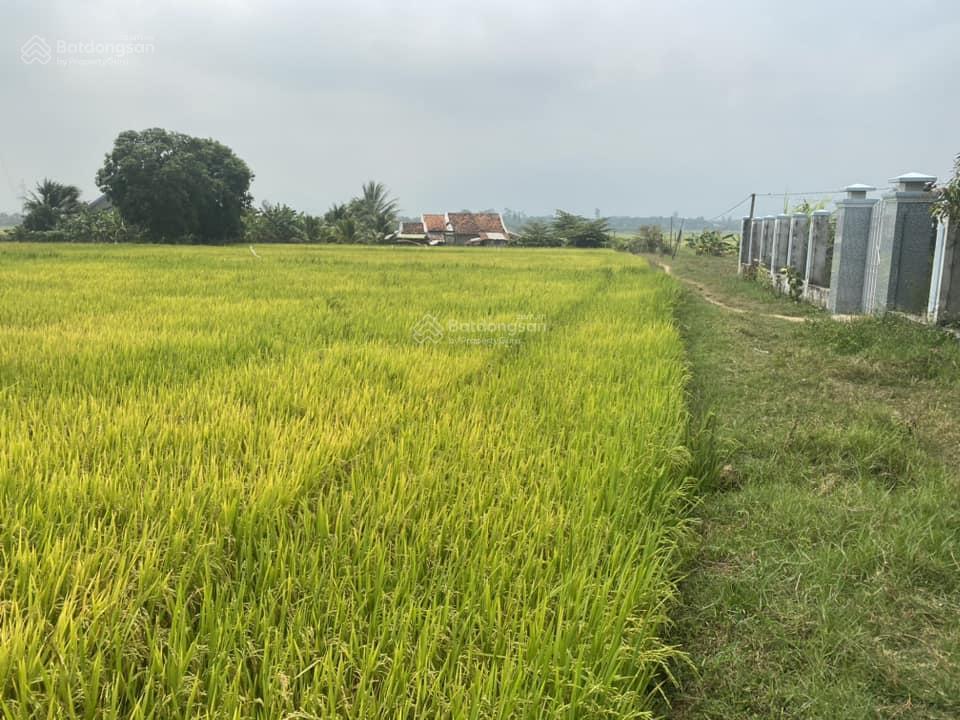 Kẹt tiền bán nhà vườn mái thái 687m2 gần khu công nghiệp ninh xuân