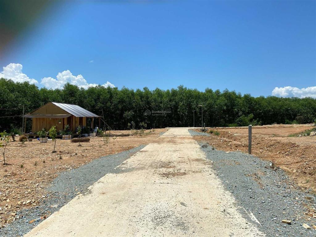 Chính chủ bán 1,121m2 đất cln, đường ô tô, có suối nhỏ, gần cụm cn sông cầu, khánh phú