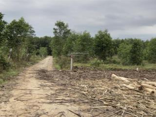 Cần bán 2.000m2 đất gần ubnd xã khánh đông, mặt tiền 30m, cách đường lớn chỉ 600m, sát khu dân cư