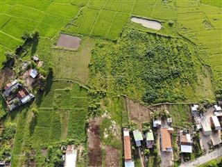 Bán đất tại ninh xuân, ninh hòa, khánh hòa, giá 700 nghìn, 10000m2
