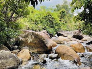 Bán đất tại xã ninh tân, ninh hòa, khánh hòa, giá siêu hời 60 nghìn, 150000m2