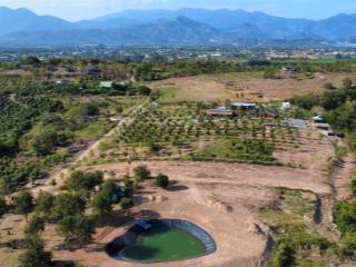 Bán đất vườn làm farm, homestay, nhà vườn nghỉ dưỡng giá 1.5 triệu/m2. gọi ngay 0969 876 ***