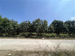 Siêu phẩm đường qh30 đấu nối trục chính dự án vin, bàn cờ cam hiệp nam cam lâm 0917 222 ***
