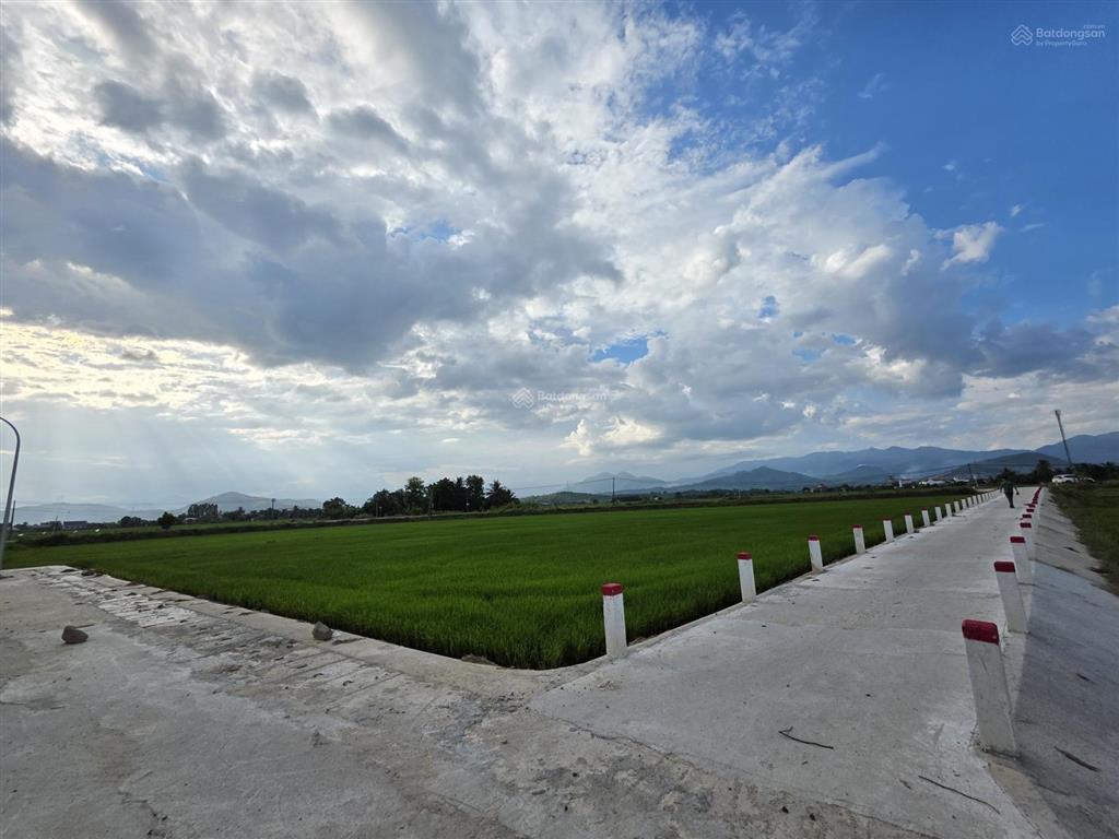 Cần bần 1,200 m2 đất lúa view sông gần hl39 diên khánh đường bê tông tới đất có sổ đỏ chỉ 350 triệu