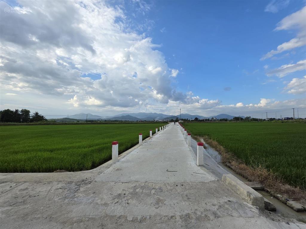 Cần bần 1,200 m2 đất lúa view sông gần hl39 diên khánh đường bê tông tới đất có sổ đỏ chỉ 350 triệu