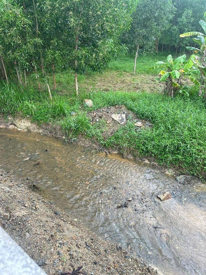 Cam an bắc cam lâm đất view suối full 3.5 triệu/m2 giáp suối đường ô tô 8 mét
