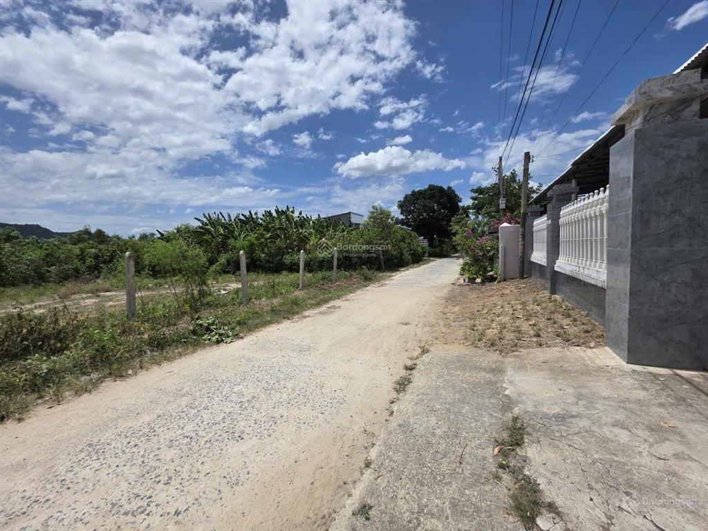 Cam an bắc cam lâm đất view suối full 3.5 triệu/m2 giáp suối đường ô tô 8 mét