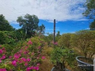 Xã diên đồng,diên khánh, khánh hòa, giá siêu hời, 2,2 tỷ, 2200m2 gần chợ, trường học, xã...