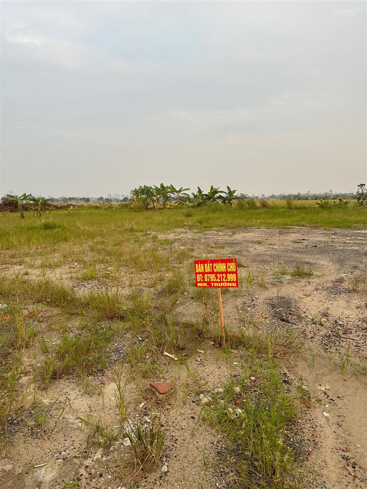 Bán đất trục chính xã chi lăng bắc  tiềm năng tăng giá lớn nhất miền bắc