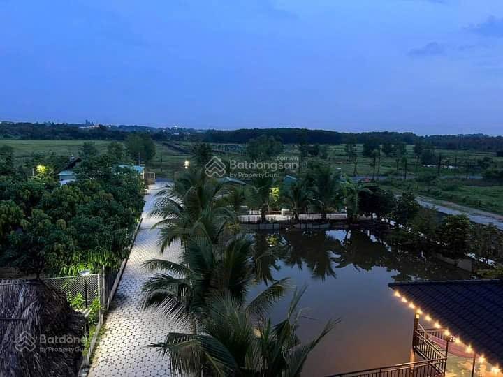 Bán đất tại phú an, tp bến cát, bình dương. 3050m2 chỉ 5,4 triệu/ m2. mặt tiền nhựa cực đẹp